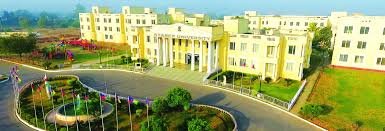 Overview Starex University in Gurugram